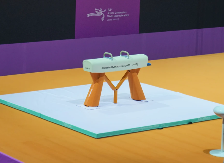 sanksi atau “hukuman” yang dijatuhkan oleh International Olympic Committee (IOC) terhadap Indonesia atas penolakan visa bagi atlet Israel pada kejuaraan dunia senam di Jakarta