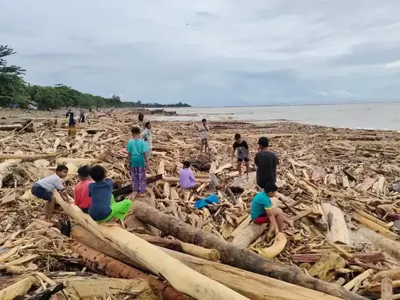 Ribuan Kayu Gelondongan Terpantau dipantai Padang Pasca Banjir Bandang