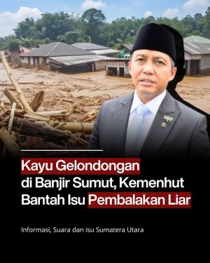 Pernyataan Menhut tentang kayu gelondongan dari kayu lapuk hingga mengambil sampel kayu